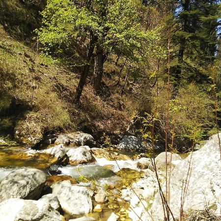 Latoda Eco Lodge Jibhi Εξωτερικό φωτογραφία