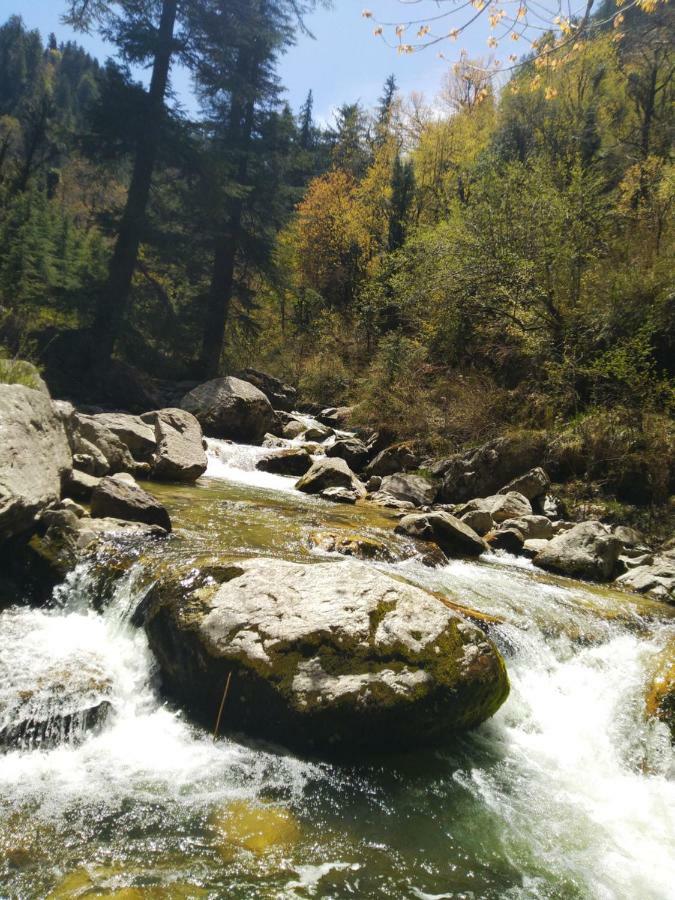 Latoda Eco Lodge Jibhi Εξωτερικό φωτογραφία