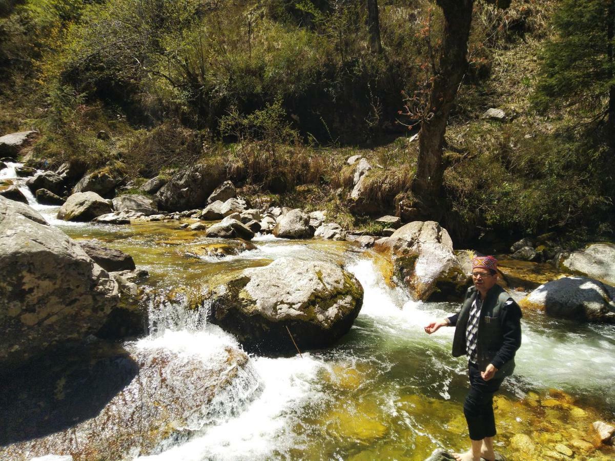 Latoda Eco Lodge Jibhi Εξωτερικό φωτογραφία